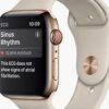 Premium Used Apple Watch Series 4- 44mm - Image 2